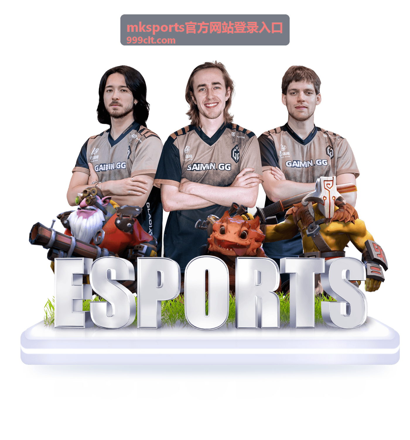 mksports官方网站登录入口的登录页面操作示意